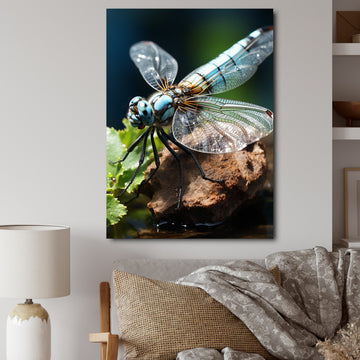 White Dragonfly Insects Flight - Dragonfly Wall Art Prints